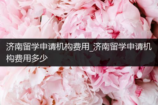济南留学申请机构费用_济南留学申请机构费用多少