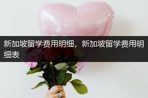 新加坡留学费用明细，新加坡留学费用明细表
