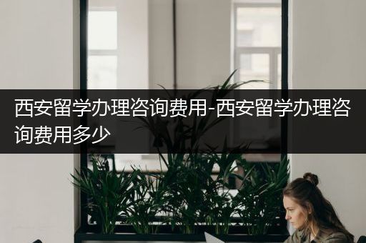 西安留学办理咨询费用-西安留学办理咨询费用多少