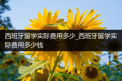 西班牙留学实际费用多少_西班牙留学实际费用多少钱