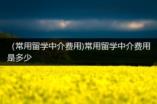 （常用留学中介费用)常用留学中介费用是多少