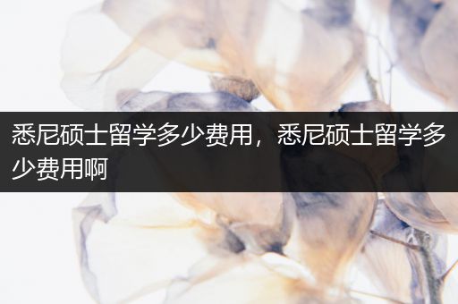 悉尼硕士留学多少费用，悉尼硕士留学多少费用啊