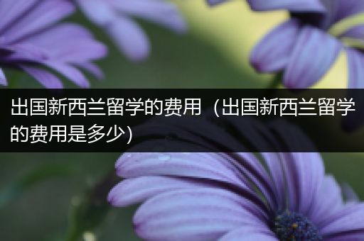 出国新西兰留学的费用（出国新西兰留学的费用是多少）