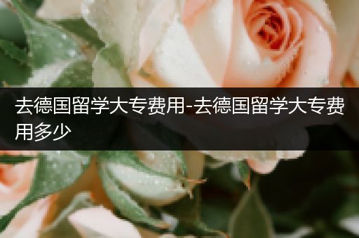去德国留学大专费用-去德国留学大专费用多少