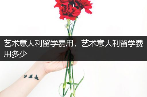 艺术意大利留学费用，艺术意大利留学费用多少