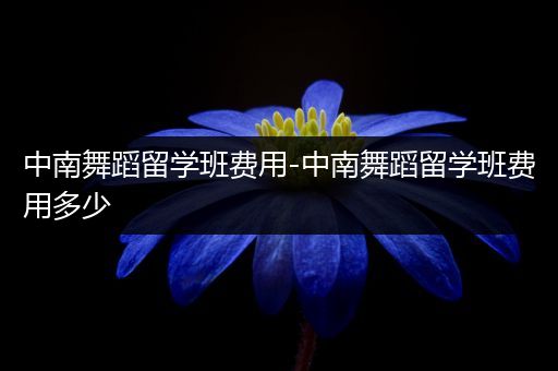 中南舞蹈留学班费用-中南舞蹈留学班费用多少