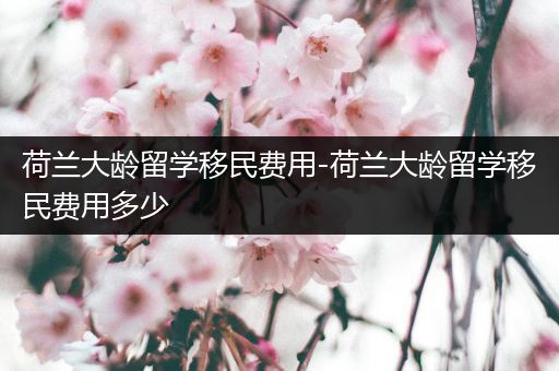 荷兰大龄留学移民费用-荷兰大龄留学移民费用多少