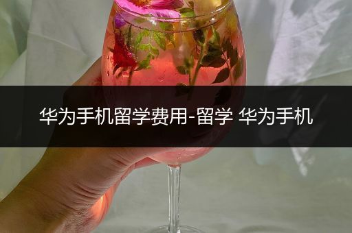 华为手机留学费用-留学 华为手机