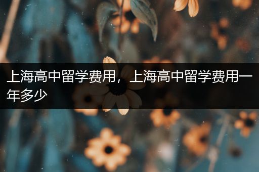 上海高中留学费用，上海高中留学费用一年多少