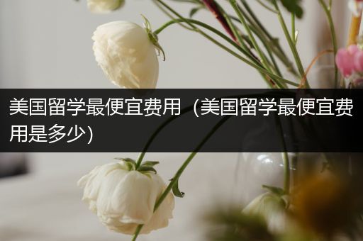 美国留学最便宜费用（美国留学最便宜费用是多少）