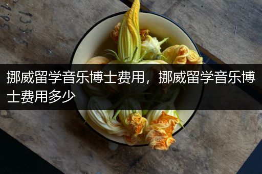 挪威留学音乐博士费用，挪威留学音乐博士费用多少