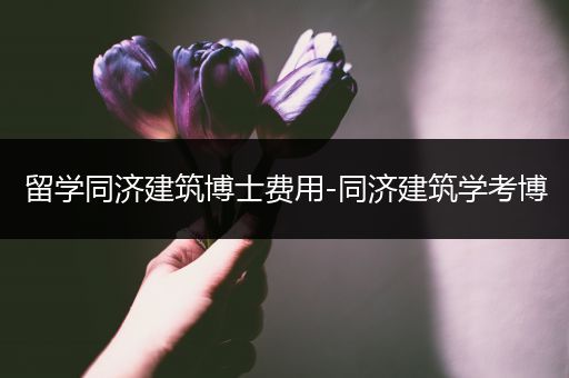 留学同济建筑博士费用-同济建筑学考博
