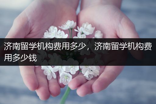济南留学机构费用多少，济南留学机构费用多少钱