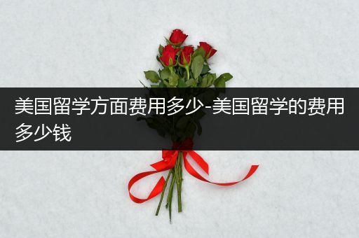 美国留学方面费用多少-美国留学的费用多少钱