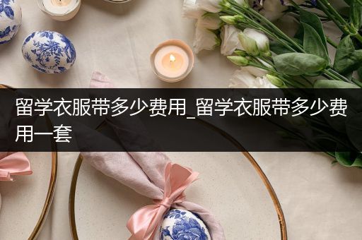 留学衣服带多少费用_留学衣服带多少费用一套
