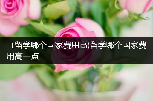 （留学哪个国家费用高)留学哪个国家费用高一点