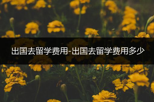 出国去留学费用-出国去留学费用多少