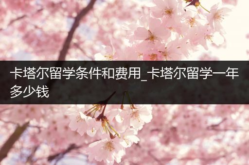 卡塔尔留学条件和费用_卡塔尔留学一年多少钱