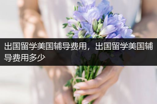出国留学美国辅导费用，出国留学美国辅导费用多少