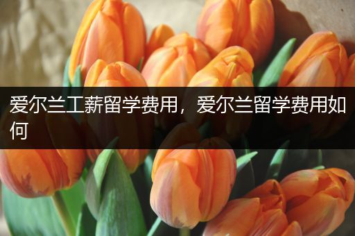 爱尔兰工薪留学费用，爱尔兰留学费用如何