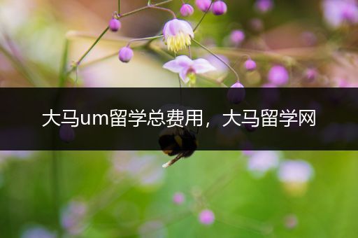 大马um留学总费用，大马留学网