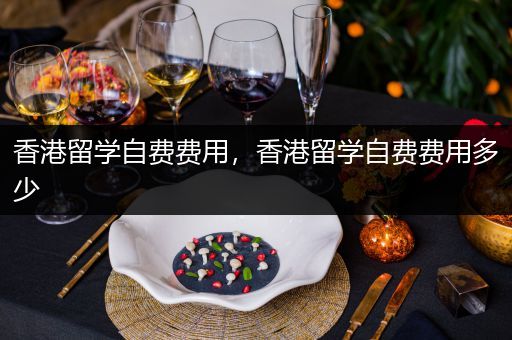 香港留学自费费用，香港留学自费费用多少