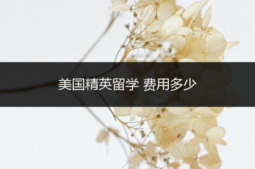 美国精英留学 费用多少