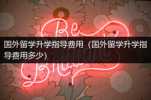 国外留学升学指导费用（国外留学升学指导费用多少）