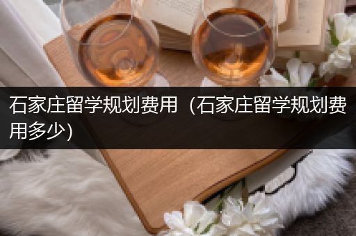 石家庄留学规划费用（石家庄留学规划费用多少）