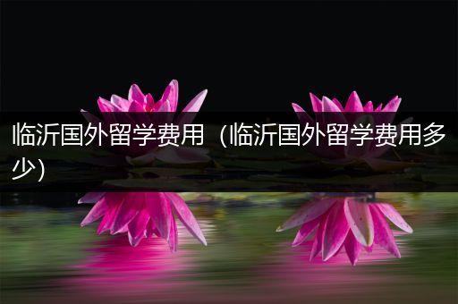 临沂国外留学费用（临沂国外留学费用多少）