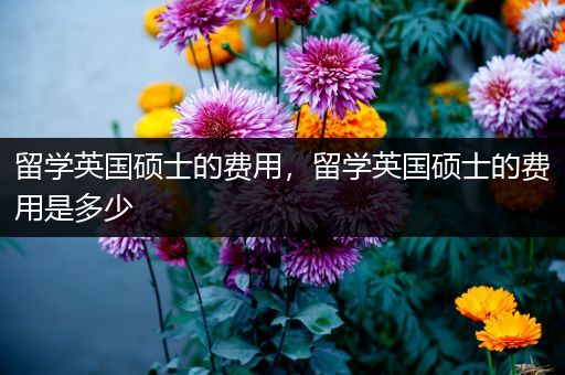 留学英国硕士的费用，留学英国硕士的费用是多少