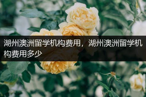 湖州澳洲留学机构费用，湖州澳洲留学机构费用多少