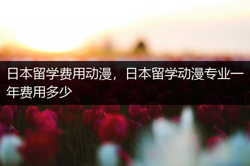 日本留学费用动漫，日本留学动漫专业一年费用多少