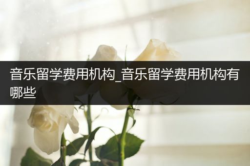 音乐留学费用机构_音乐留学费用机构有哪些