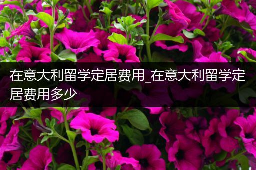 在意大利留学定居费用_在意大利留学定居费用多少