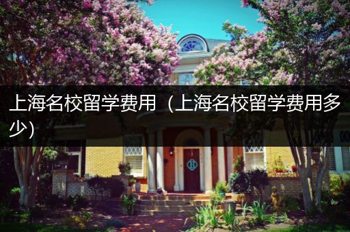 上海名校留学费用（上海名校留学费用多少）