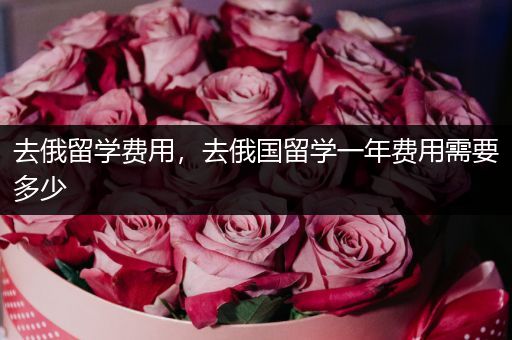 去俄留学费用，去俄国留学一年费用需要多少