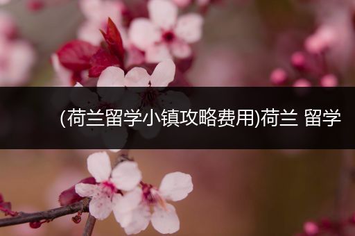 （荷兰留学小镇攻略费用)荷兰 留学