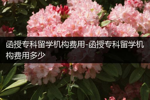函授专科留学机构费用-函授专科留学机构费用多少