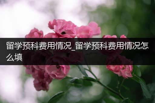 留学预科费用情况_留学预科费用情况怎么填