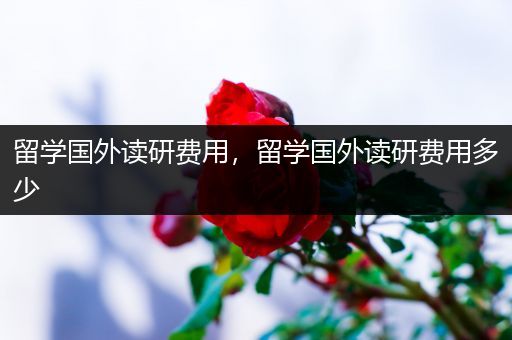 留学国外读研费用，留学国外读研费用多少