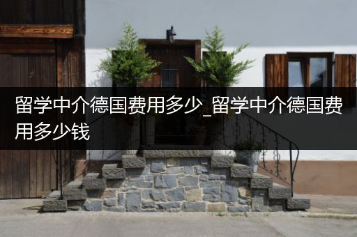 留学中介德国费用多少_留学中介德国费用多少钱