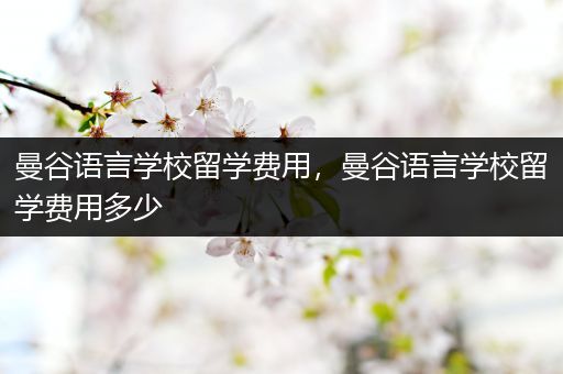 曼谷语言学校留学费用，曼谷语言学校留学费用多少