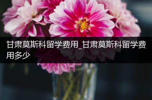 甘肃莫斯科留学费用_甘肃莫斯科留学费用多少