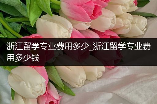 浙江留学专业费用多少_浙江留学专业费用多少钱