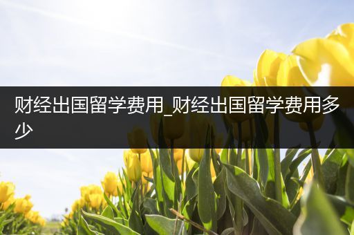 财经出国留学费用_财经出国留学费用多少