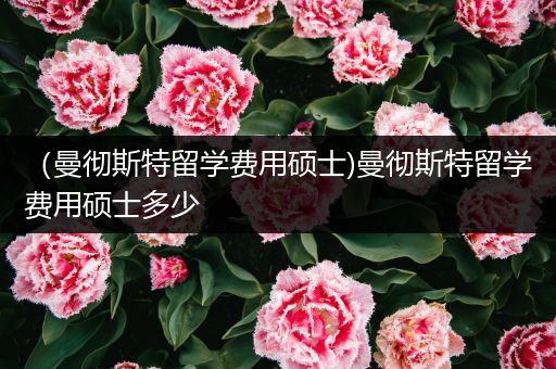 （曼彻斯特留学费用硕士)曼彻斯特留学费用硕士多少