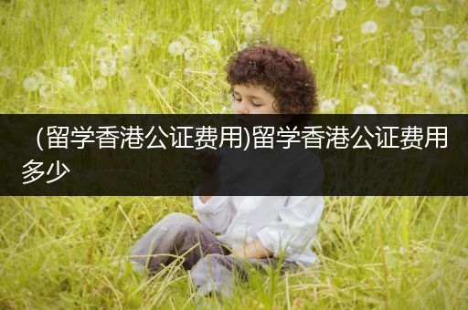 （留学香港公证费用)留学香港公证费用多少