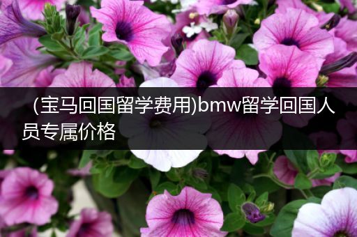 （宝马回国留学费用)bmw留学回国人员专属价格