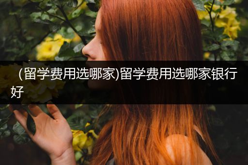 （留学费用选哪家)留学费用选哪家银行好